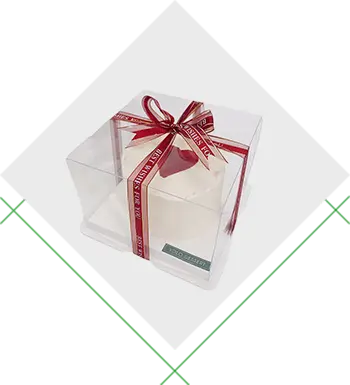 Plastikbox